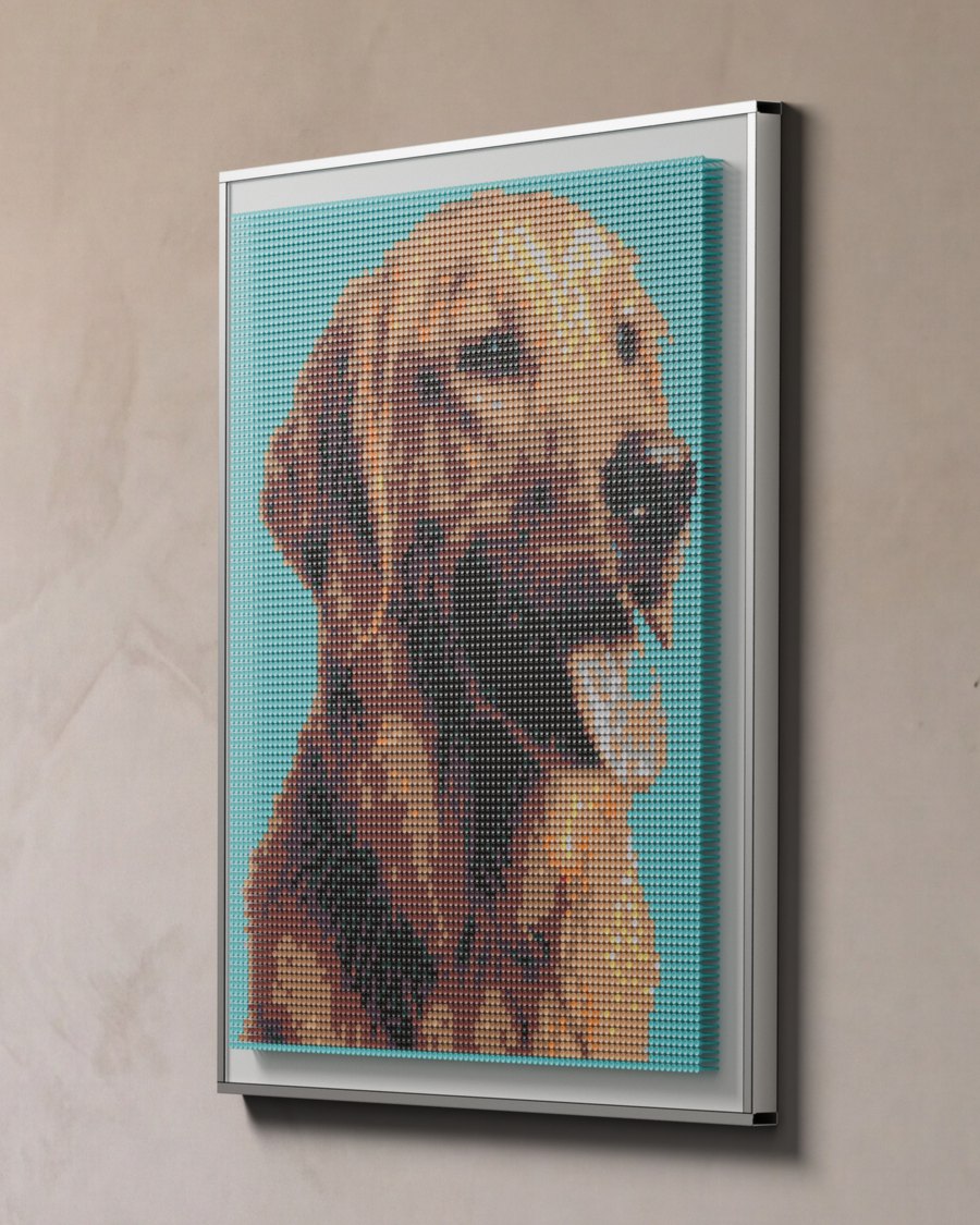 Their retriever: 9,720 tees in 15 colours on a teal board, 45 by 53 inches